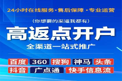 竞价排名中的数据分析和优化案例