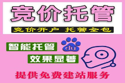 行业领先企业的信息流广告投放策略揭秘